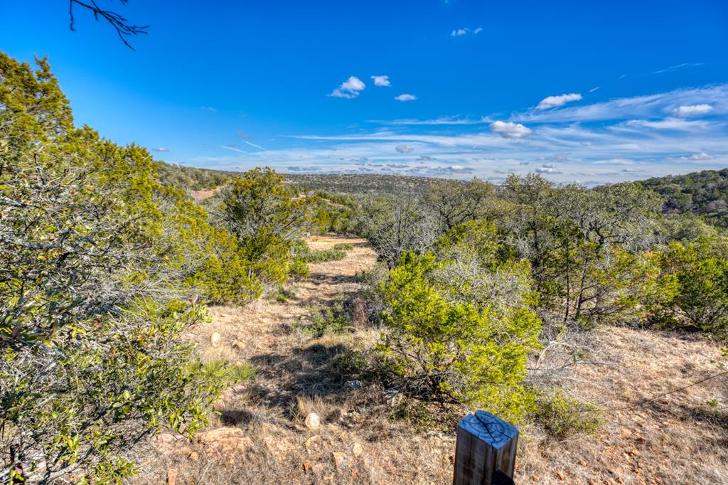 12759 Highway 16 Llano, TX 78643 - Photo 41 of 62