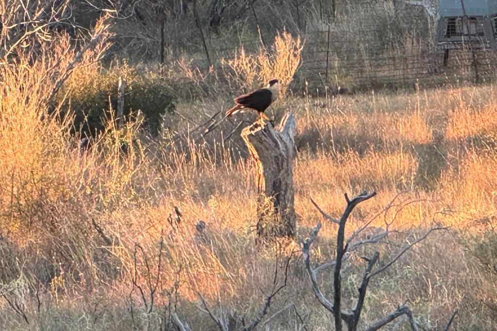 12759 Highway 16 Llano, TX 78643 - Photo 45 of 62