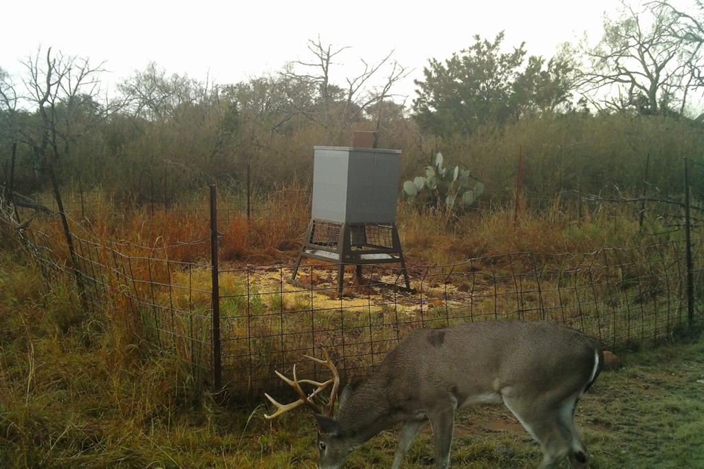 12759 Highway 16 Llano, TX 78643 - Photo 46 of 62 Water trough near well