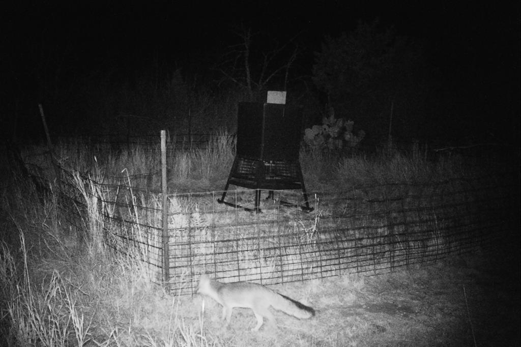 12759 Highway 16 Llano, TX 78643 - Photo 47 of 62