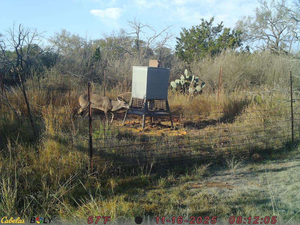 12759 Highway 16 Llano, TX 78643 - Photo 48 of 62