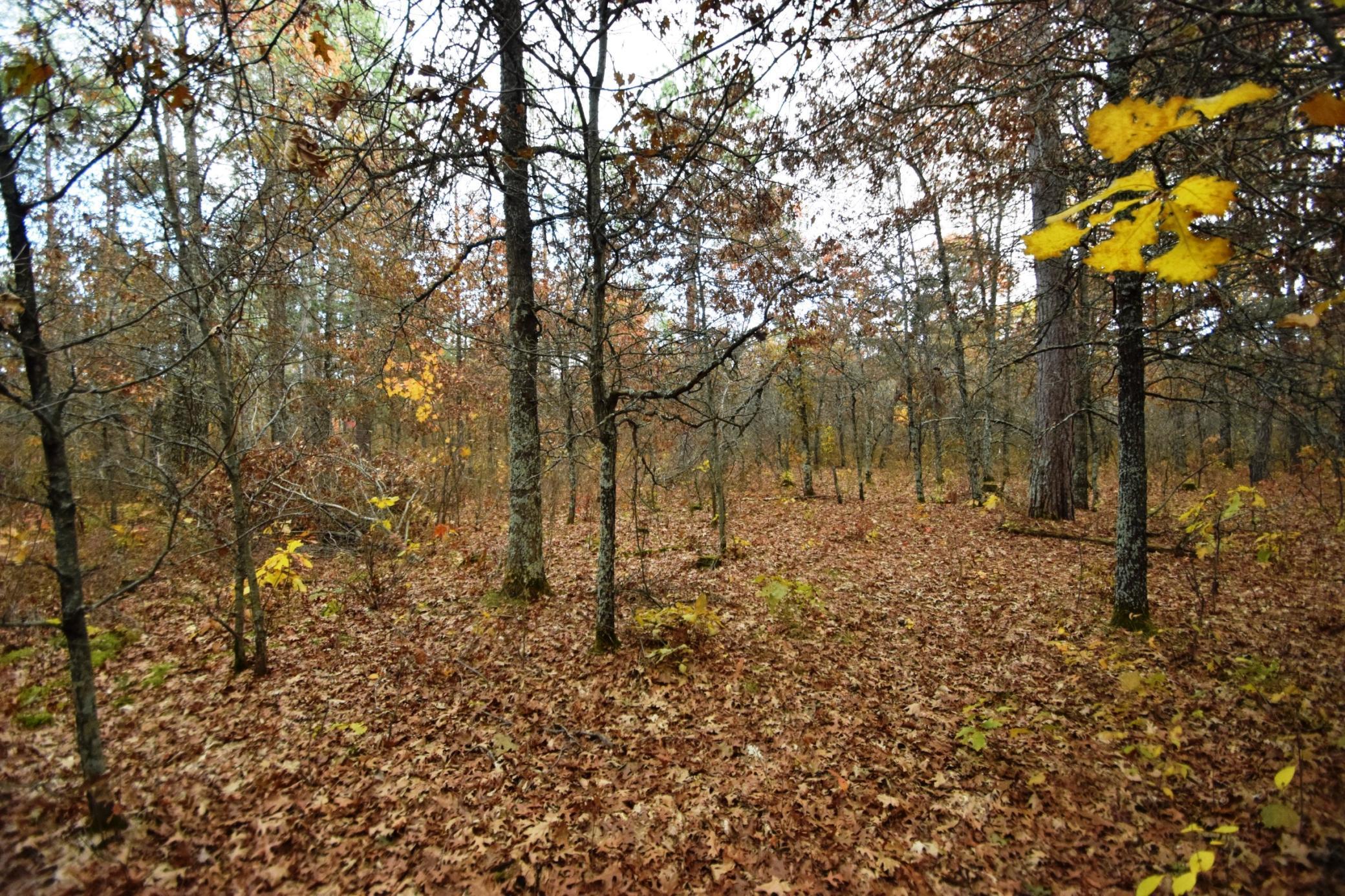 0 Foxes Landing Road Grantsburg, WI 54840 - Photo 1 of 1 Gallery Image 1