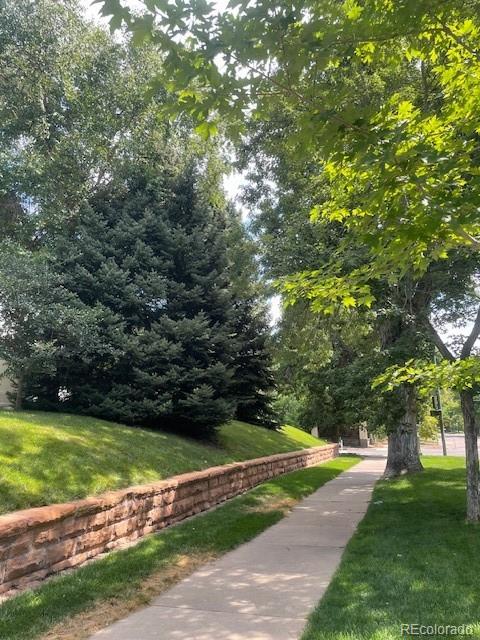 707 Corona Street Denver, CO 80218 - Photo 46 of 46 a view of a yard with a large trees