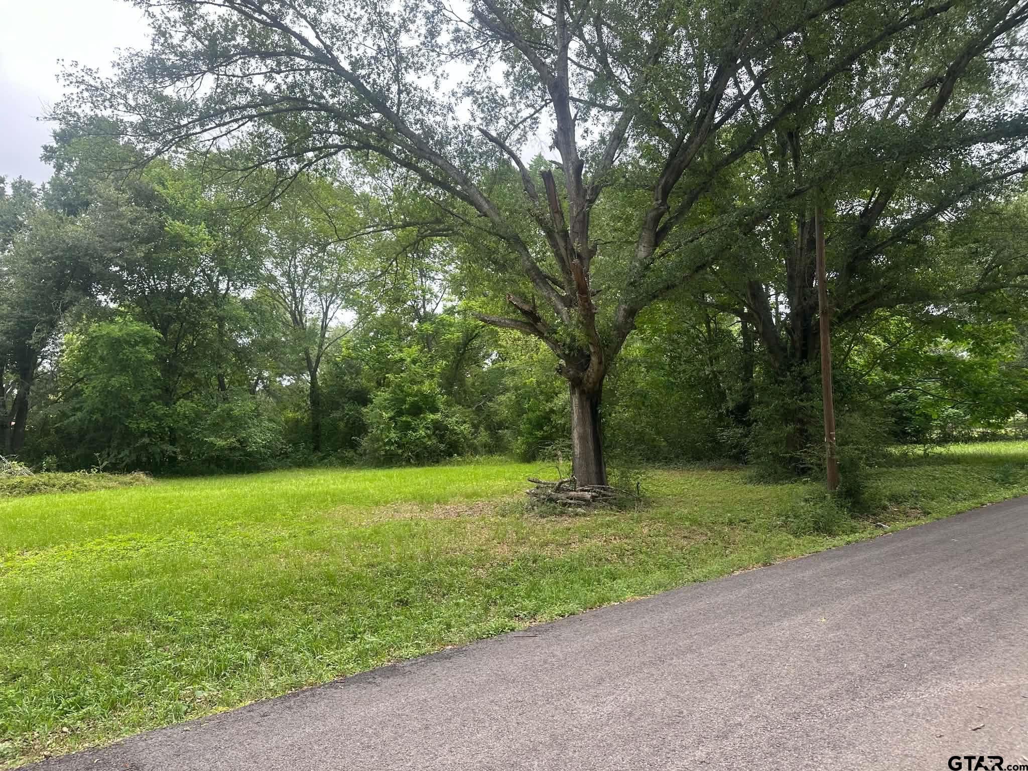 0 Ricky Drive Palestine, TX 75801 - Photo 5 of 6 a view of a trees with a yard