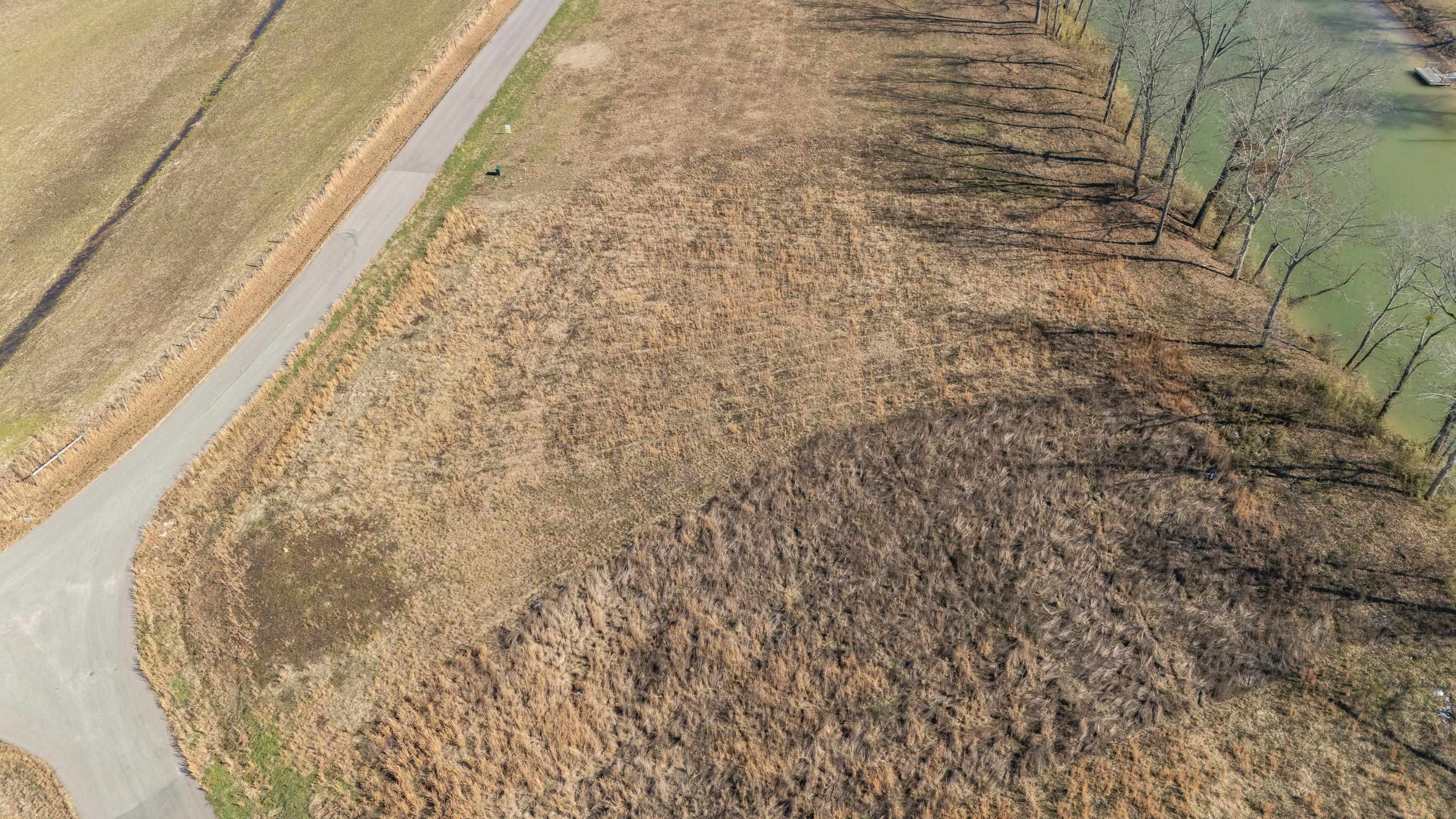 Lot 112 Cravens Road Savannah, TN 38372 - Photo 7 of 16 a bathroom with a shower