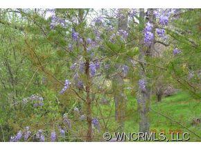 99999 Edwards Road Fairview, NC 28730 - Photo 8 of 12 Gallery Image 8
