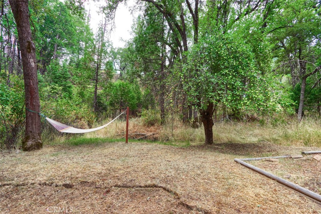 7115 Hites Cove Road Mariposa, CA 95338 - Photo 38 of 48 a view of a yard with a tree