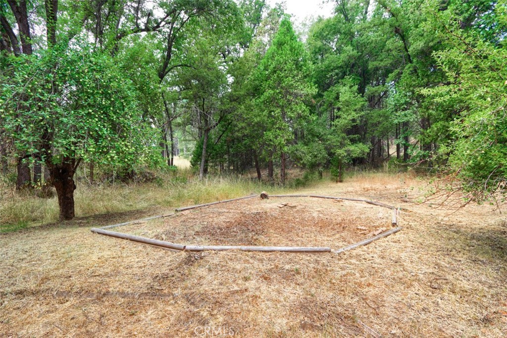 7115 Hites Cove Road Mariposa, CA 95338 - Photo 39 of 48 a view of a backyard of a house