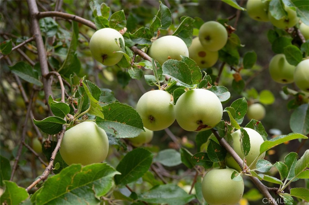 7115 Hites Cove Road Mariposa, CA 95338 - Photo 40 of 48 a bathroom with a sink mirror and vanity