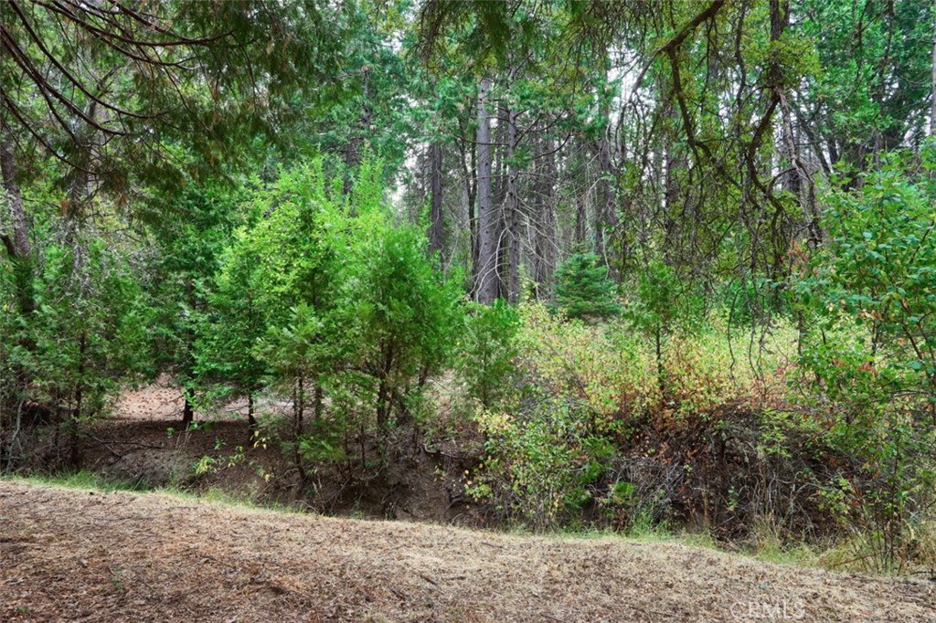 7115 Hites Cove Road Mariposa, CA 95338 - Photo 42 of 48 a view of backyard with green space
