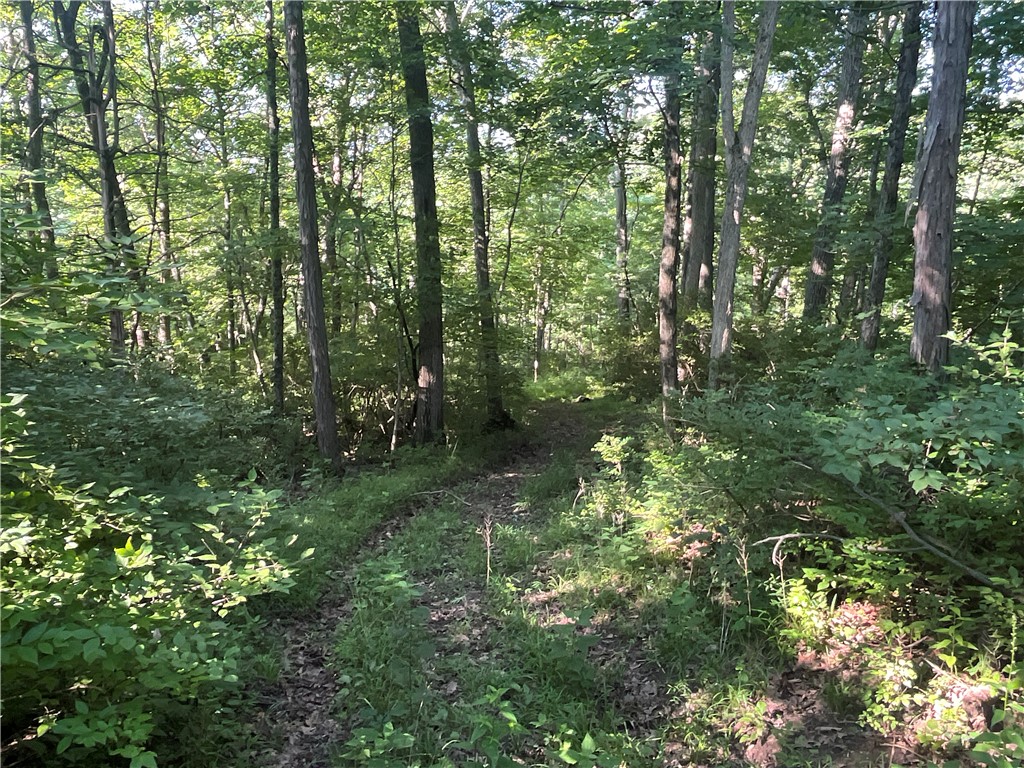 0 Stephen Young Road Camden, OH 45311 - Photo 23 of 57