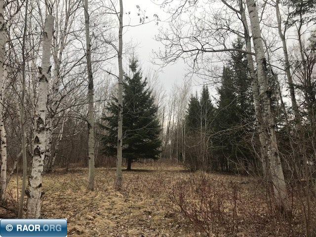 1-9 Burton Road Buhl, MN 55713 - Photo 7 of 13