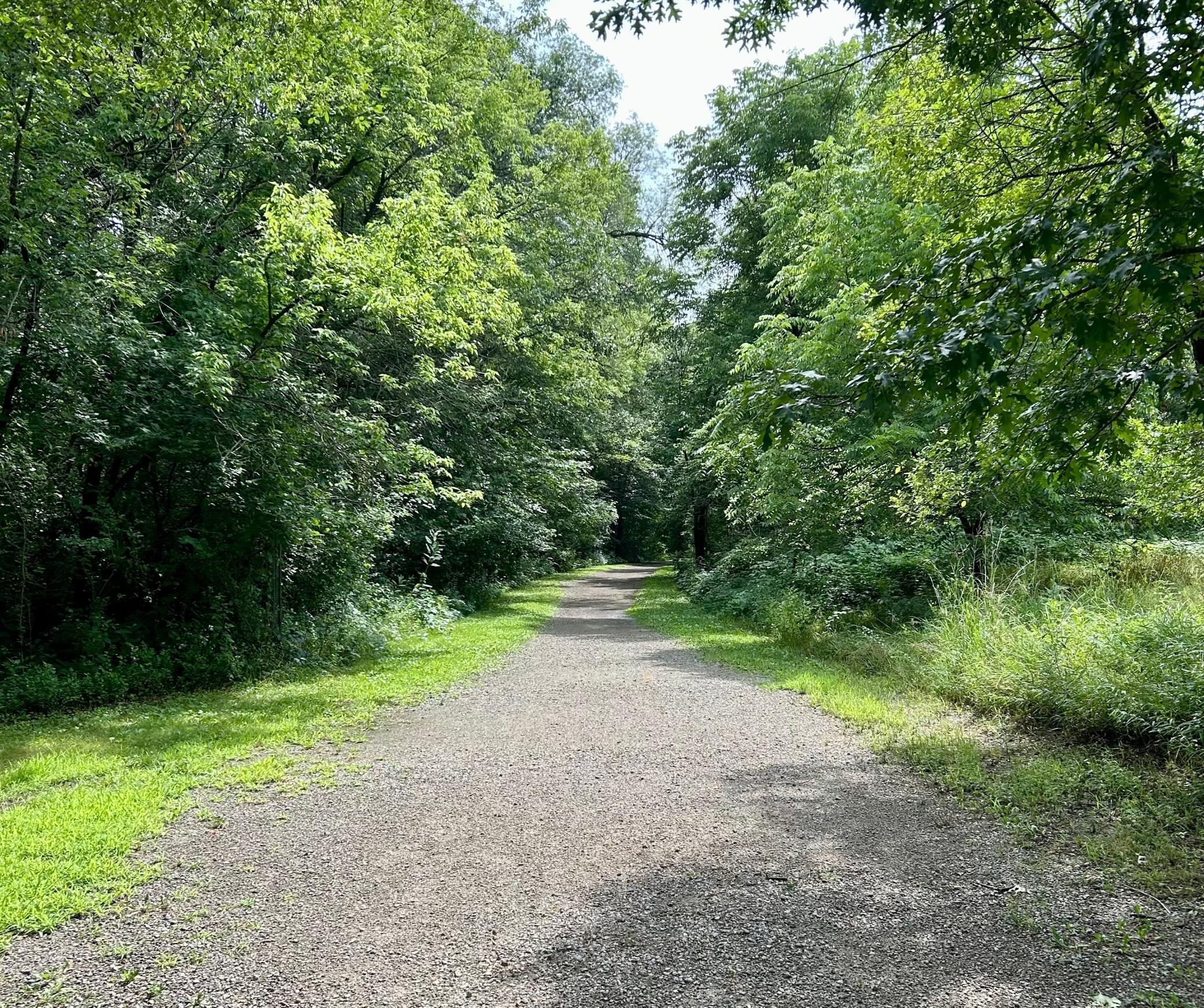 9931 Bluebird Street Northwest Coon Rapids, MN 55433 - Photo 30 of 33