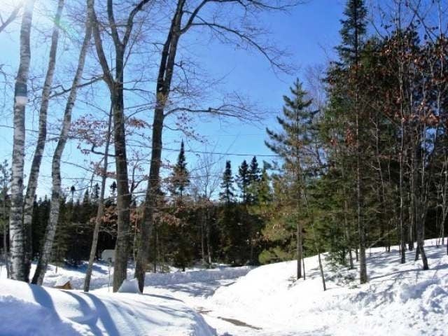 8362 White Birch Road Eagle River, WI 54521 - Photo 7 of 15 Gallery Image 7