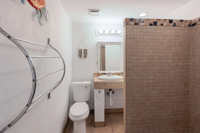 an aerial view of a house with a yard and lake view