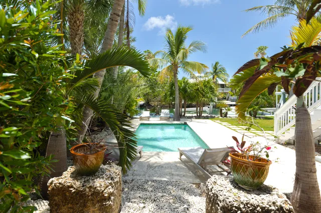 a view of a street with plants and trees