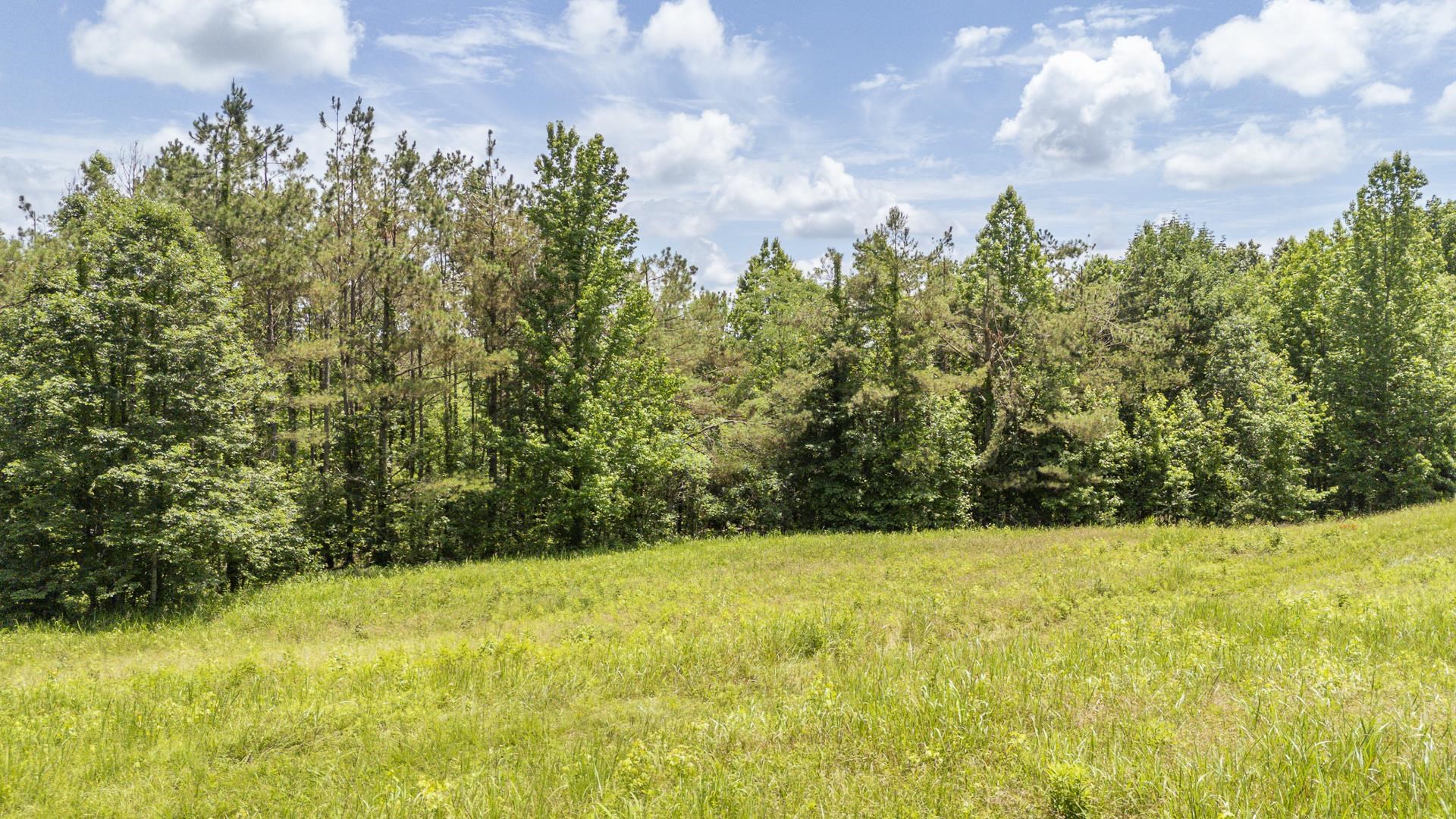 904 Capooth Road Ramer, TN 38367 - Photo 28 of 40