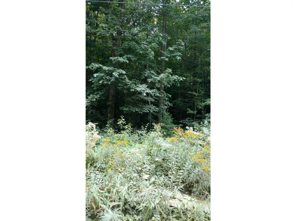 L44 Garland Road Barnstead, NH 03218 - Photo 2 of 3