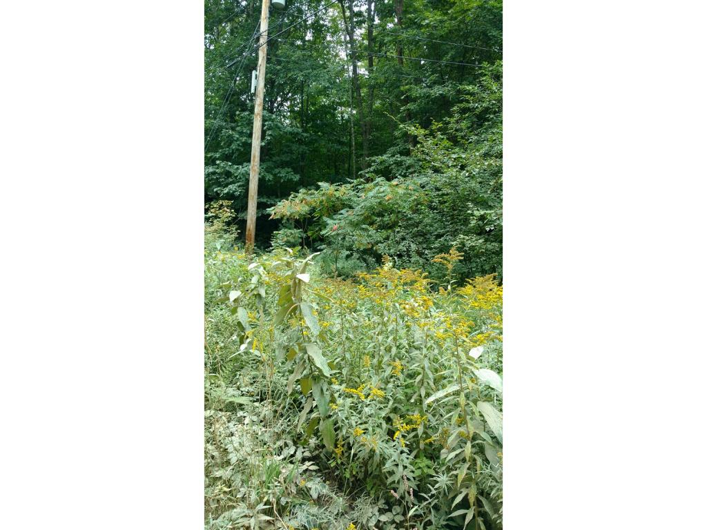 L44 Garland Road Barnstead, NH 03218 - Photo 3 of 3