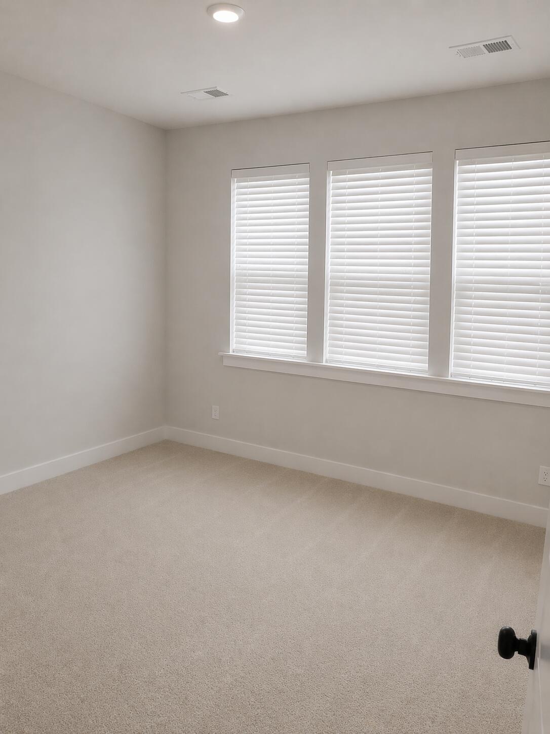 277 Denham Street Summerville, SC 29486 - Photo 18 of 20 11a_guest bedroom2