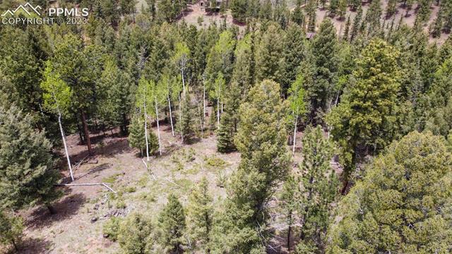 595 Ridge Road Divide, CO 80814 - Photo 2 of 12 Gallery Image 2