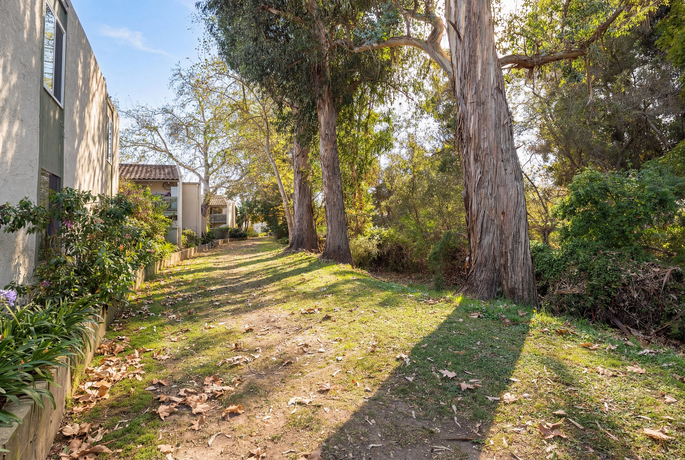 29 Dearborn Place, Unit 7 Goleta, CA 93117 - Photo 23 of 25 a view of a yard with plants and trees