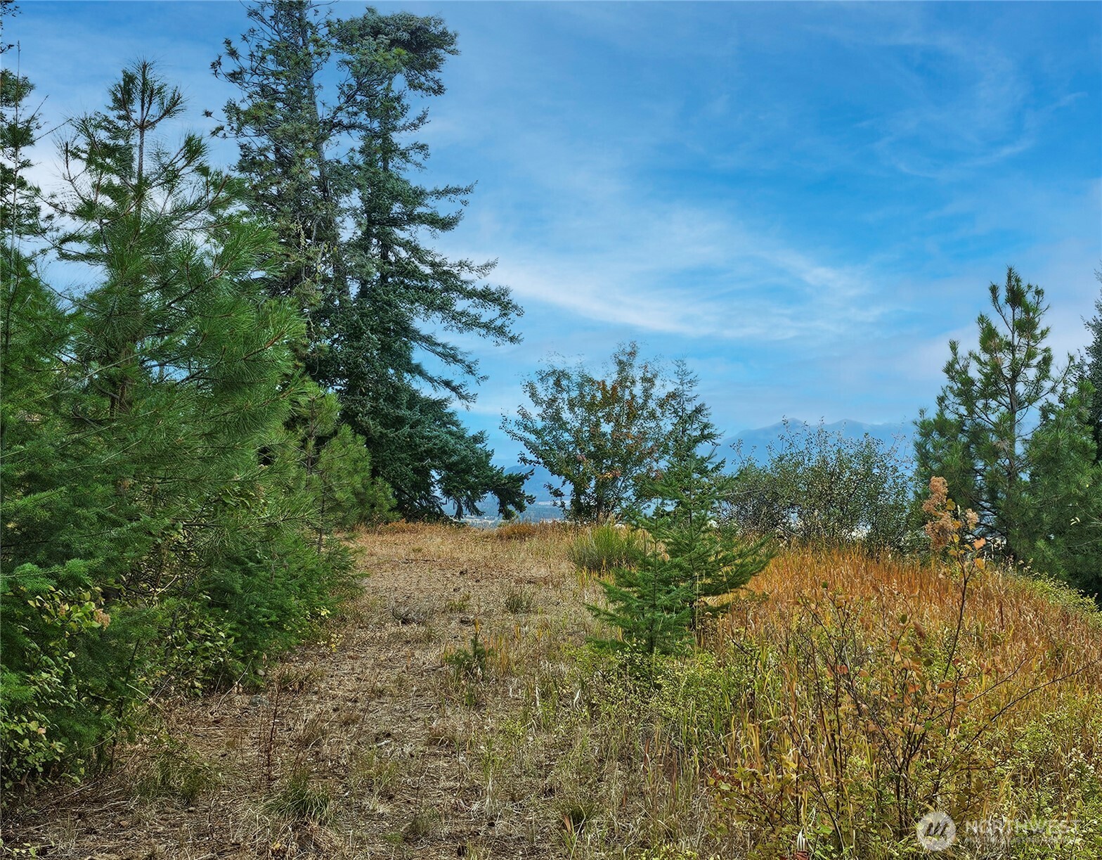 78 Skull Springs Road Cle Elum, WA 98922 - Photo 11 of 25