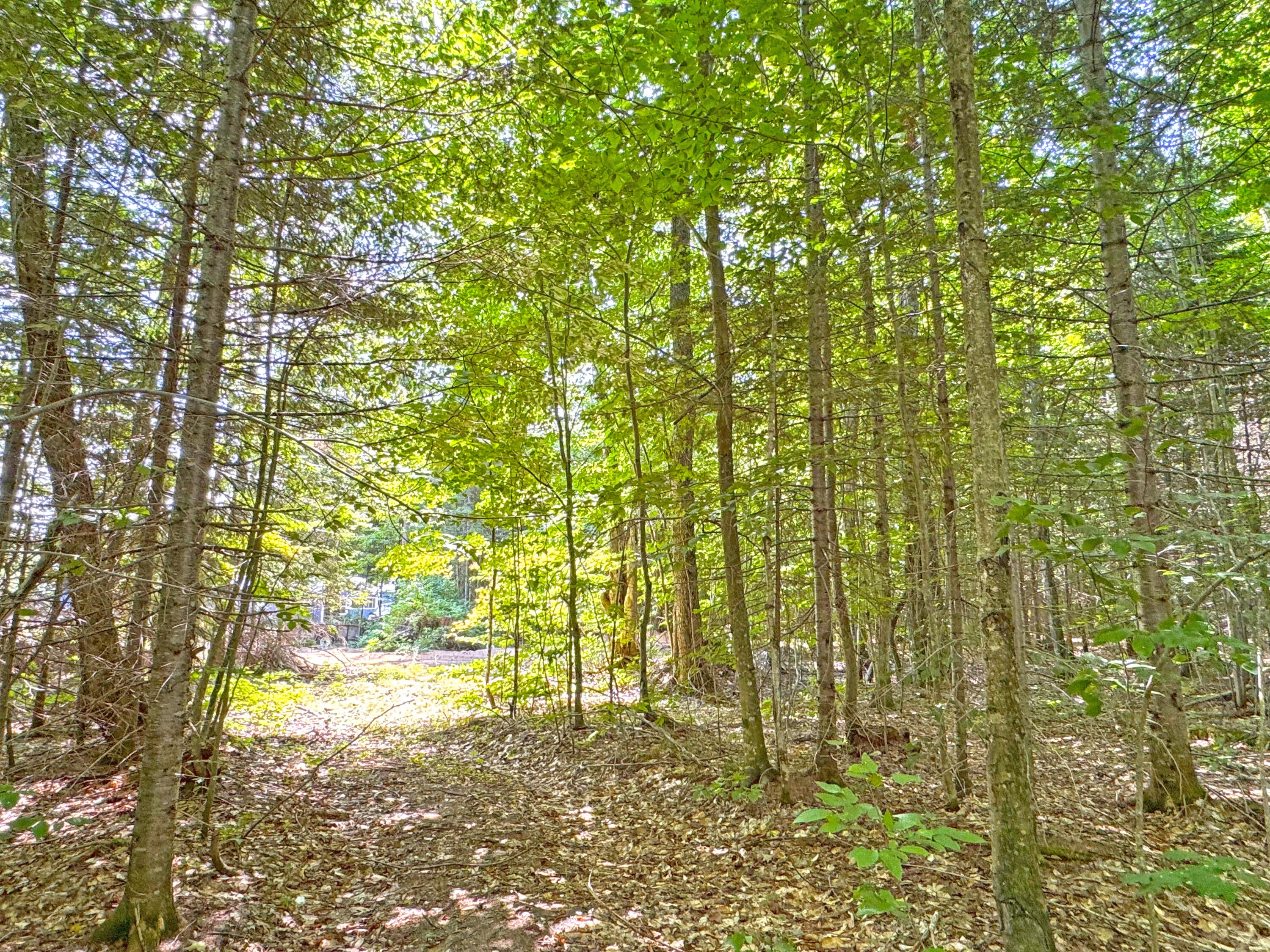 33418 West North Road Eckerman, MI 49728 - Photo 57 of 60 Gallery Image 57