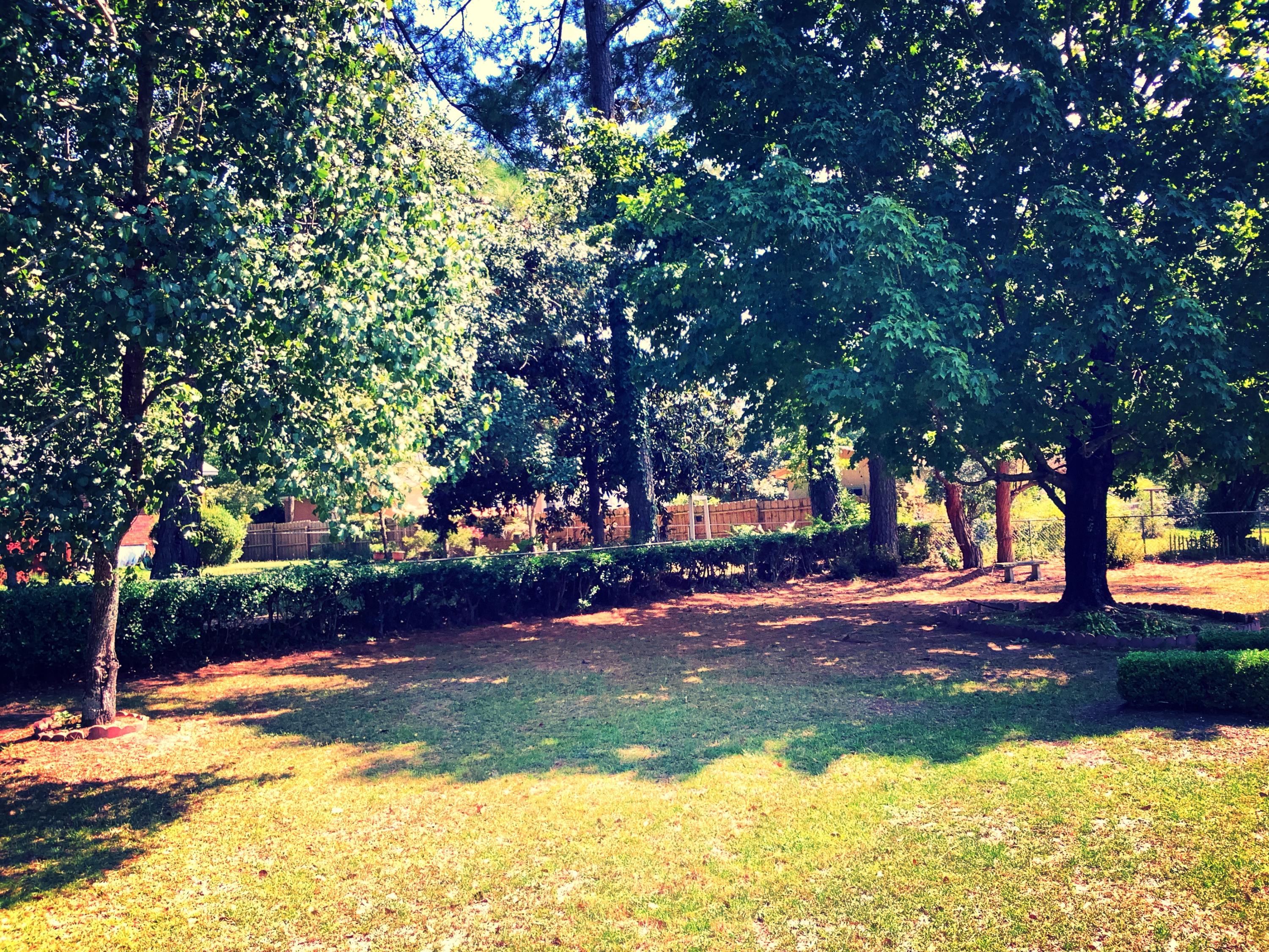 1448 Gue Road Orangeburg, SC 29115 - Photo 11 of 12 16502E6E-0C5B-4401-85F0-8806C538844C