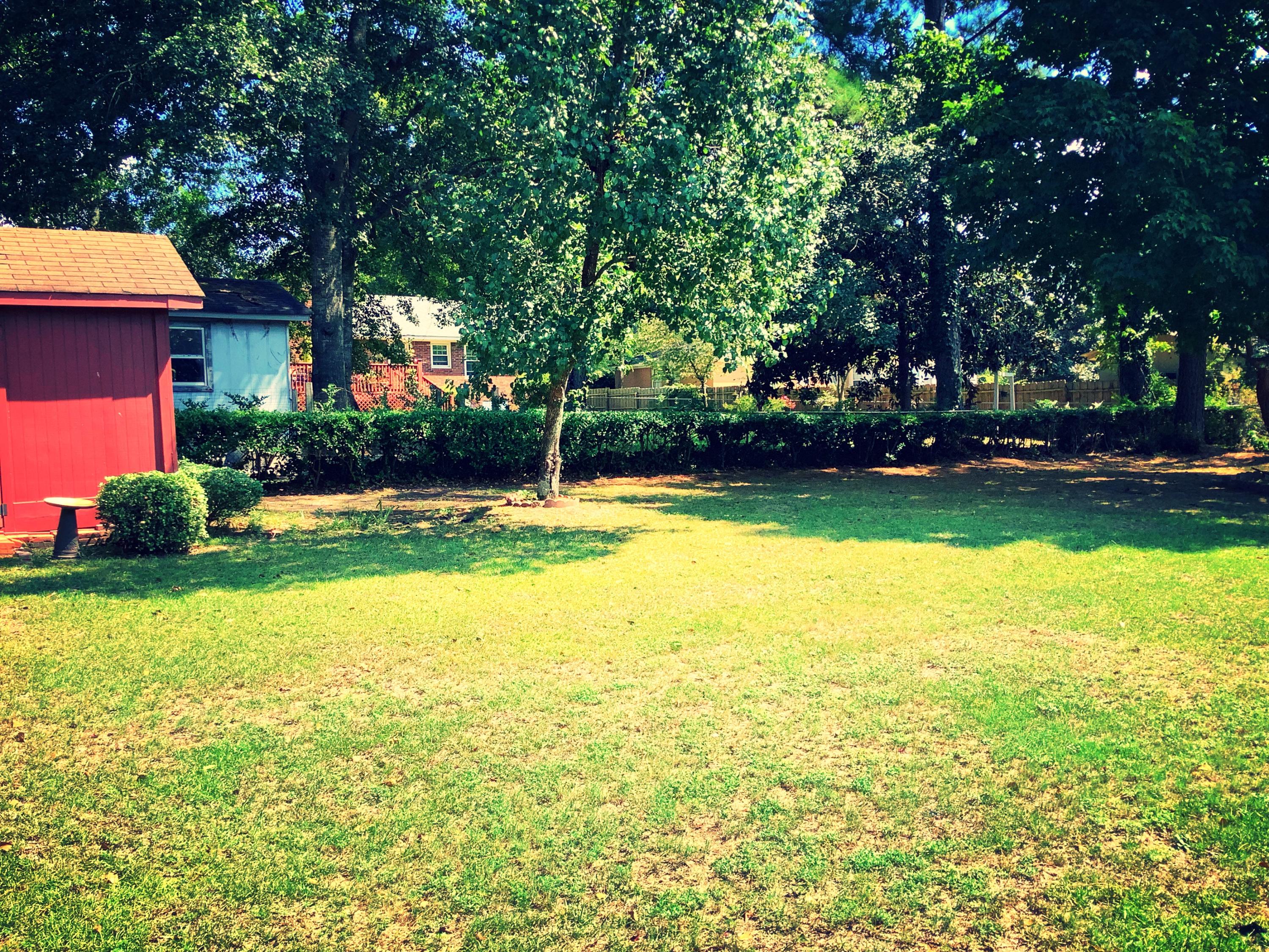 1448 Gue Road Orangeburg, SC 29115 - Photo 10 of 12 F963939A-5645-4531-BA19-D1E5E4120913