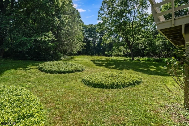 9 Wehrli Road Long Valley, NJ 07853 - Photo 21 of 40