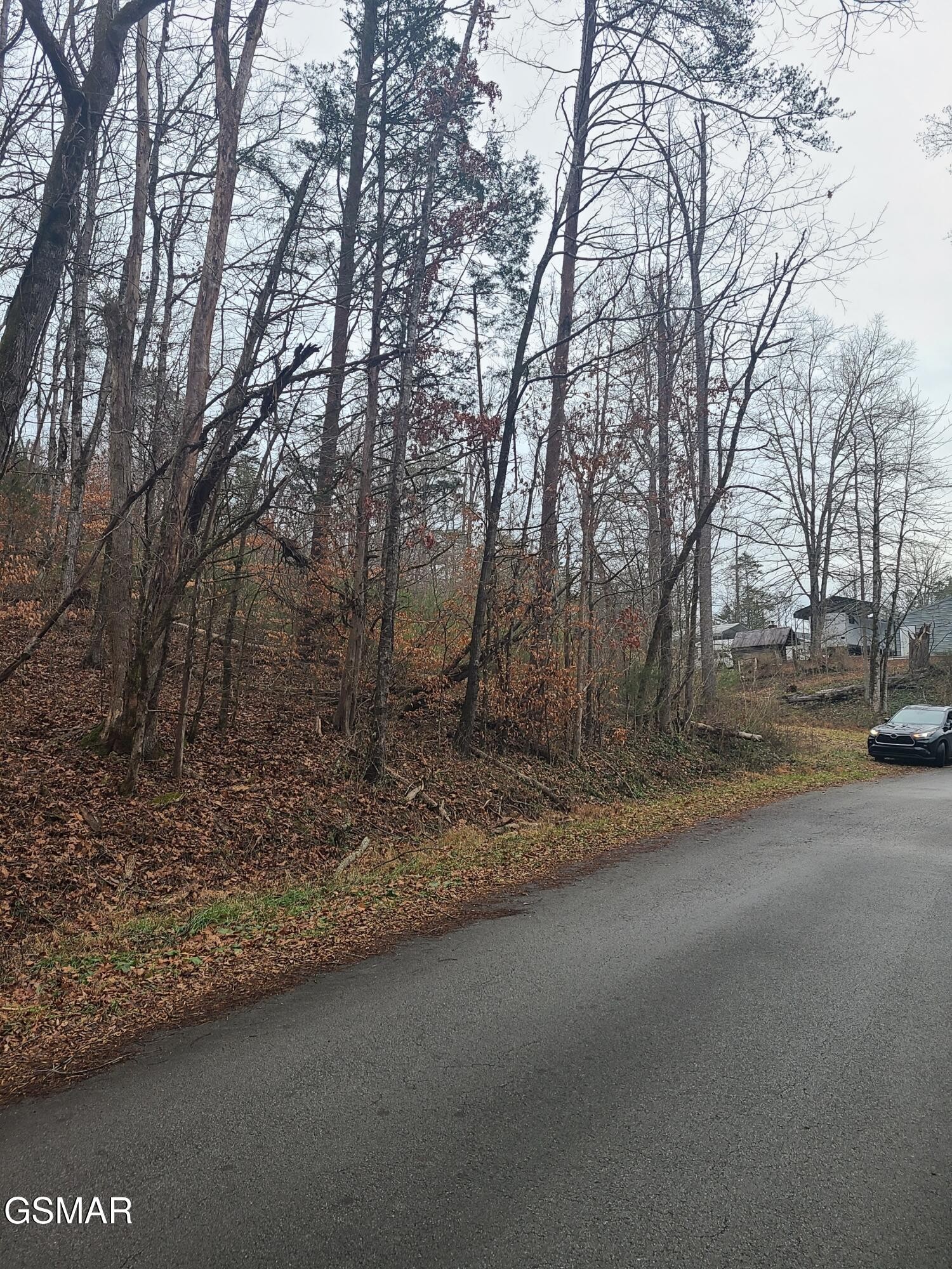 0 Keystown Road Luttrell, TN 37779 - Photo 3 of 5