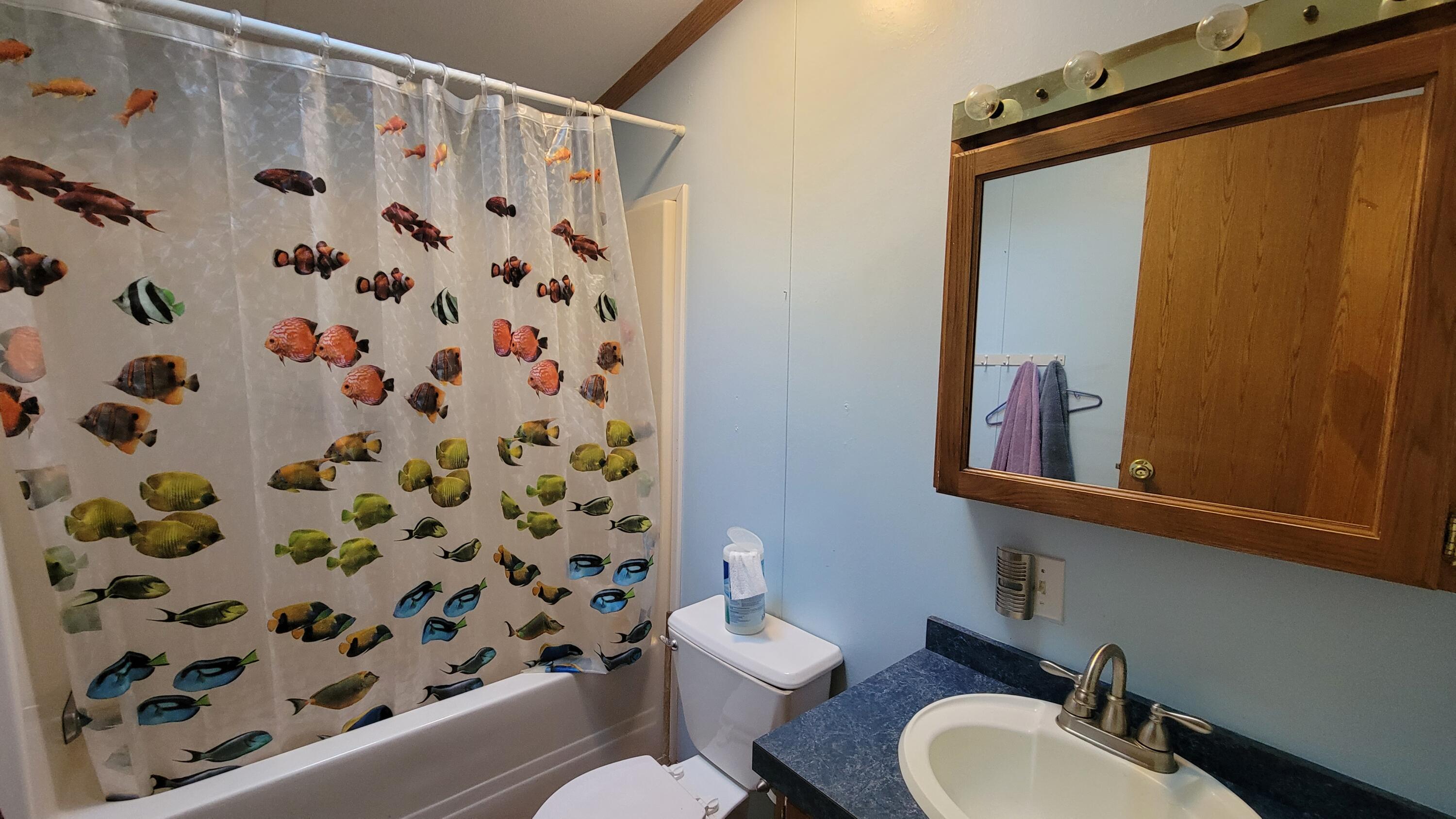 235 Cards Ridge Road Greenbush, ME 04418 - Photo 18 of 38 20210616_091830