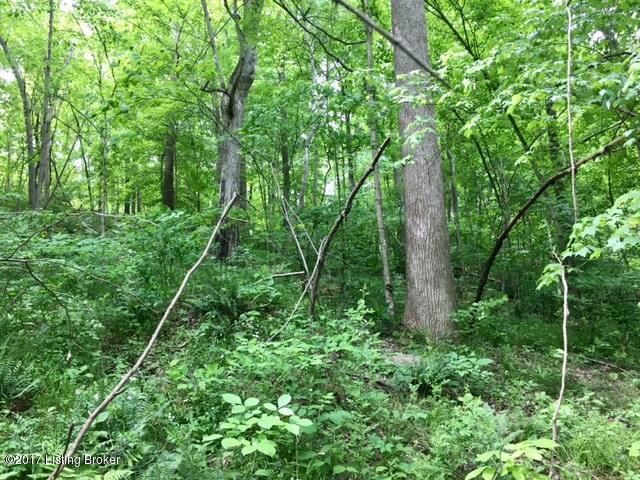 0 Mark Ridge Road Garfield, KY 40140 - Photo 25 of 43 26