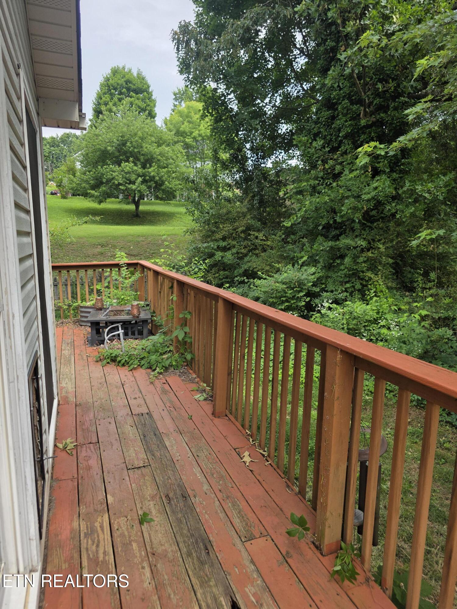 7807 Squirrel Lane Powell, TN 37849 - Photo 17 of 19 1000028589
