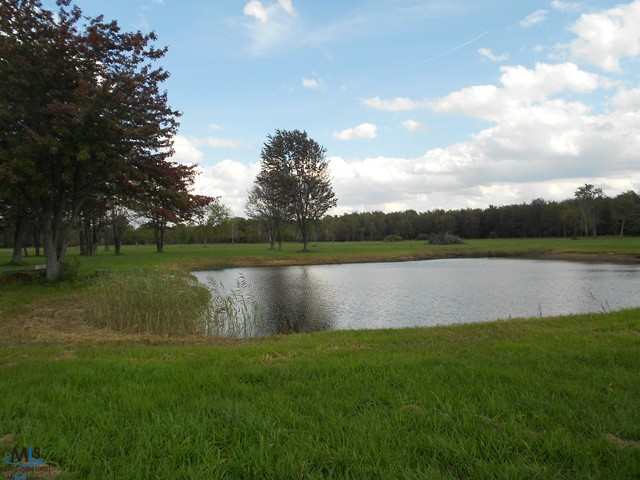 2280 Mitchell Lake Road Attica, MI 48412 - Photo 22 of 22 31121592-21.JPG