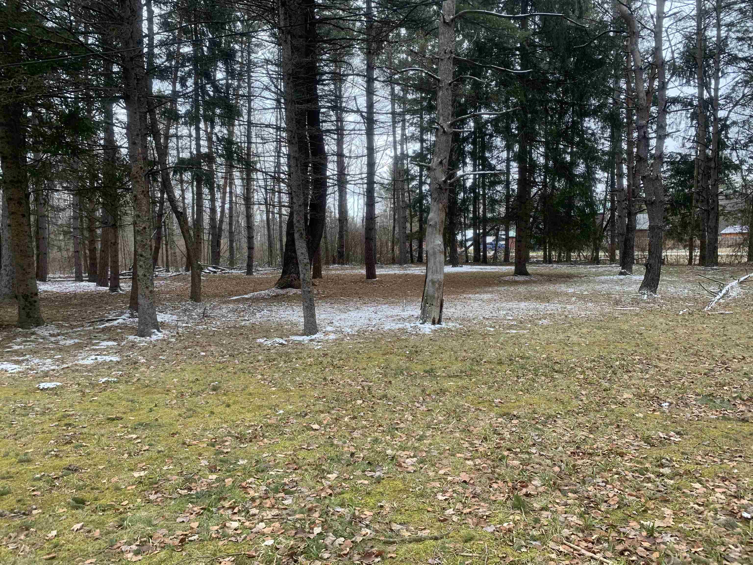 2804 River Road Beaverton, MI 48612 - Photo 25 of 25
