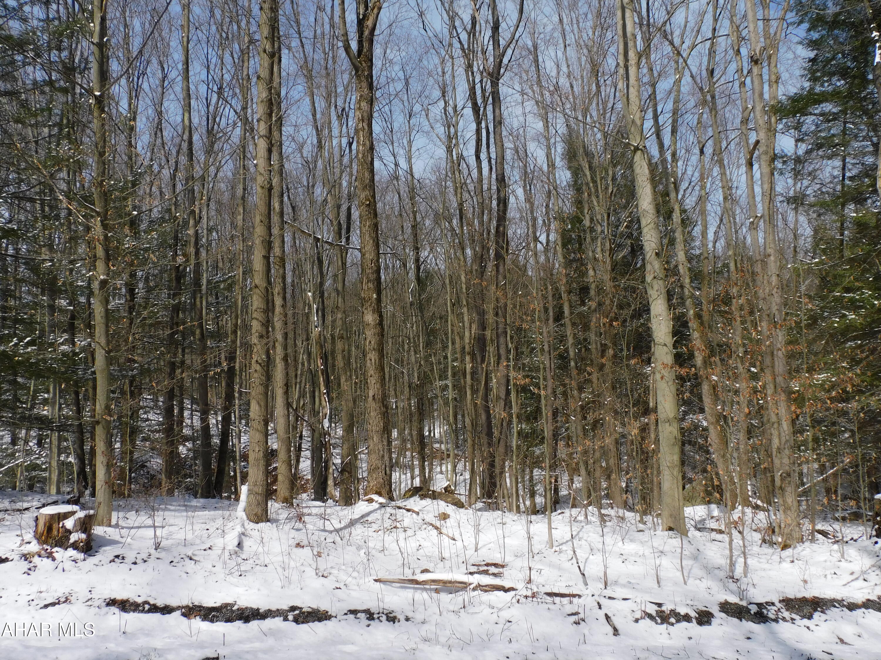 0 Gallitzin Road Gallitzin, PA 16641 - Photo 2 of 2