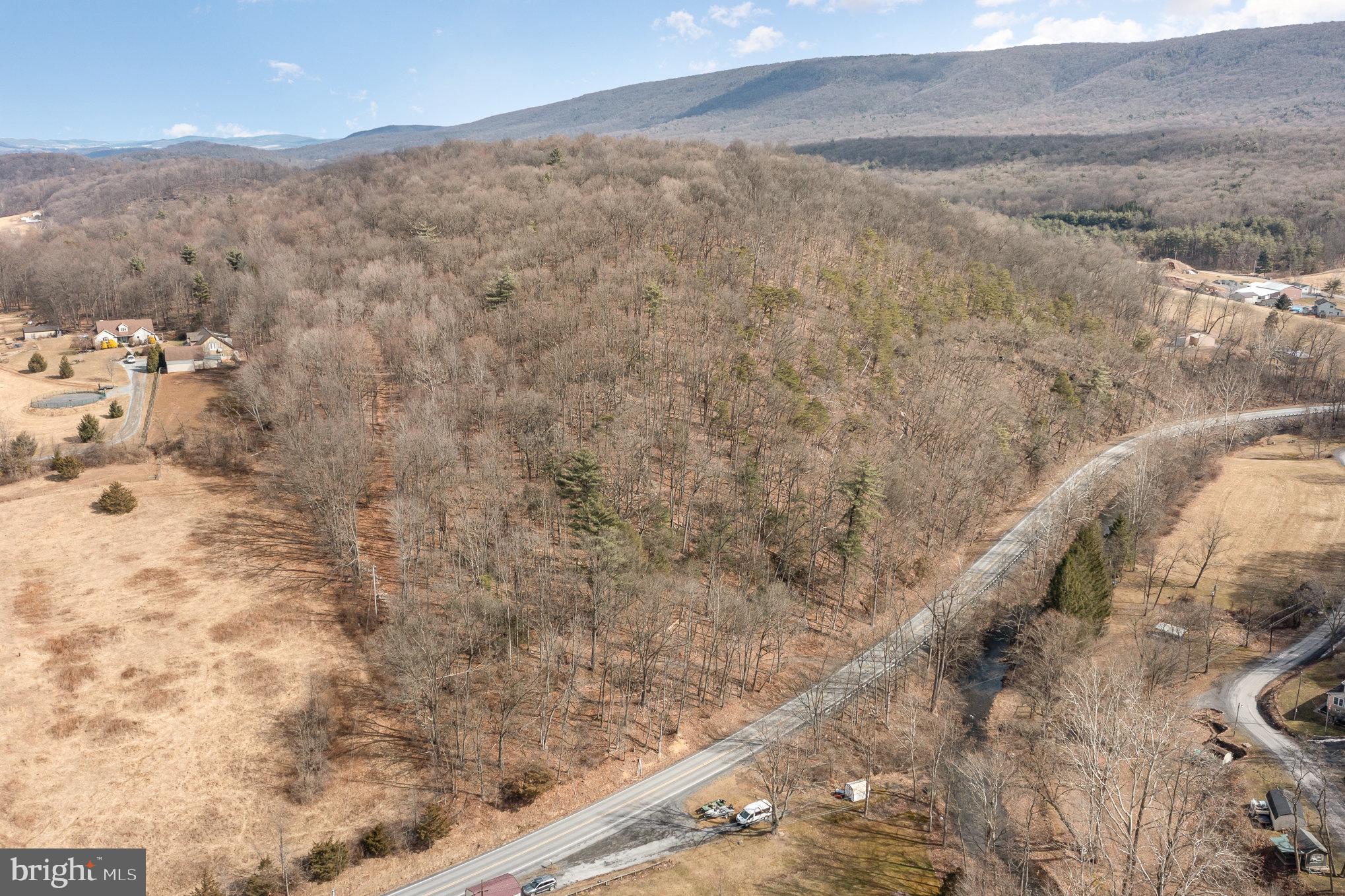 0 Back Hollow Road Blain, PA 17006 - Photo 11 of 24 Gallery Image 11