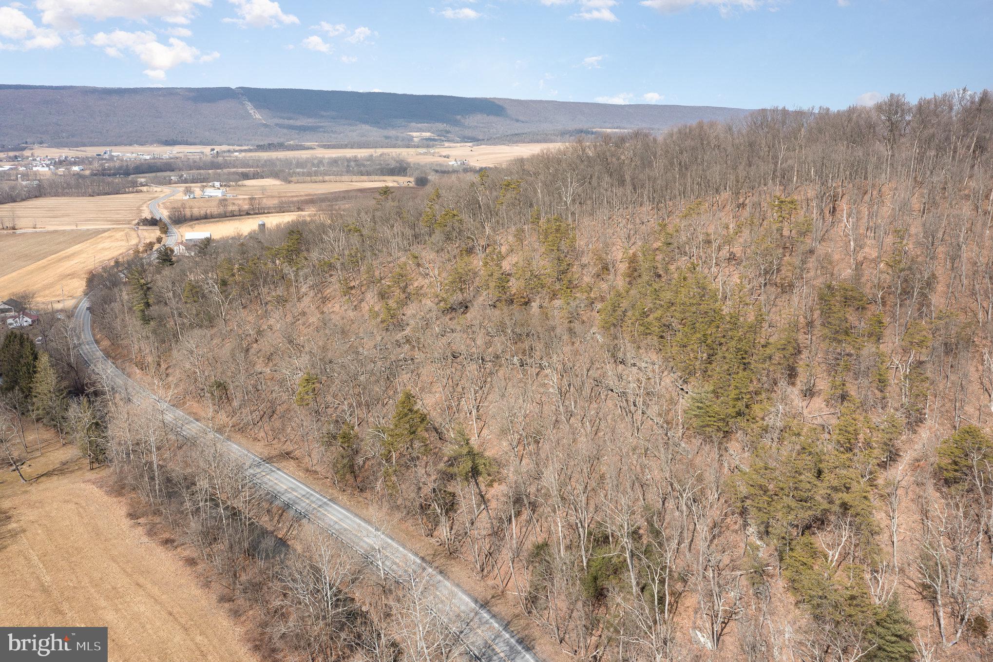 0 Back Hollow Road Blain, PA 17006 - Photo 14 of 24 Gallery Image 14