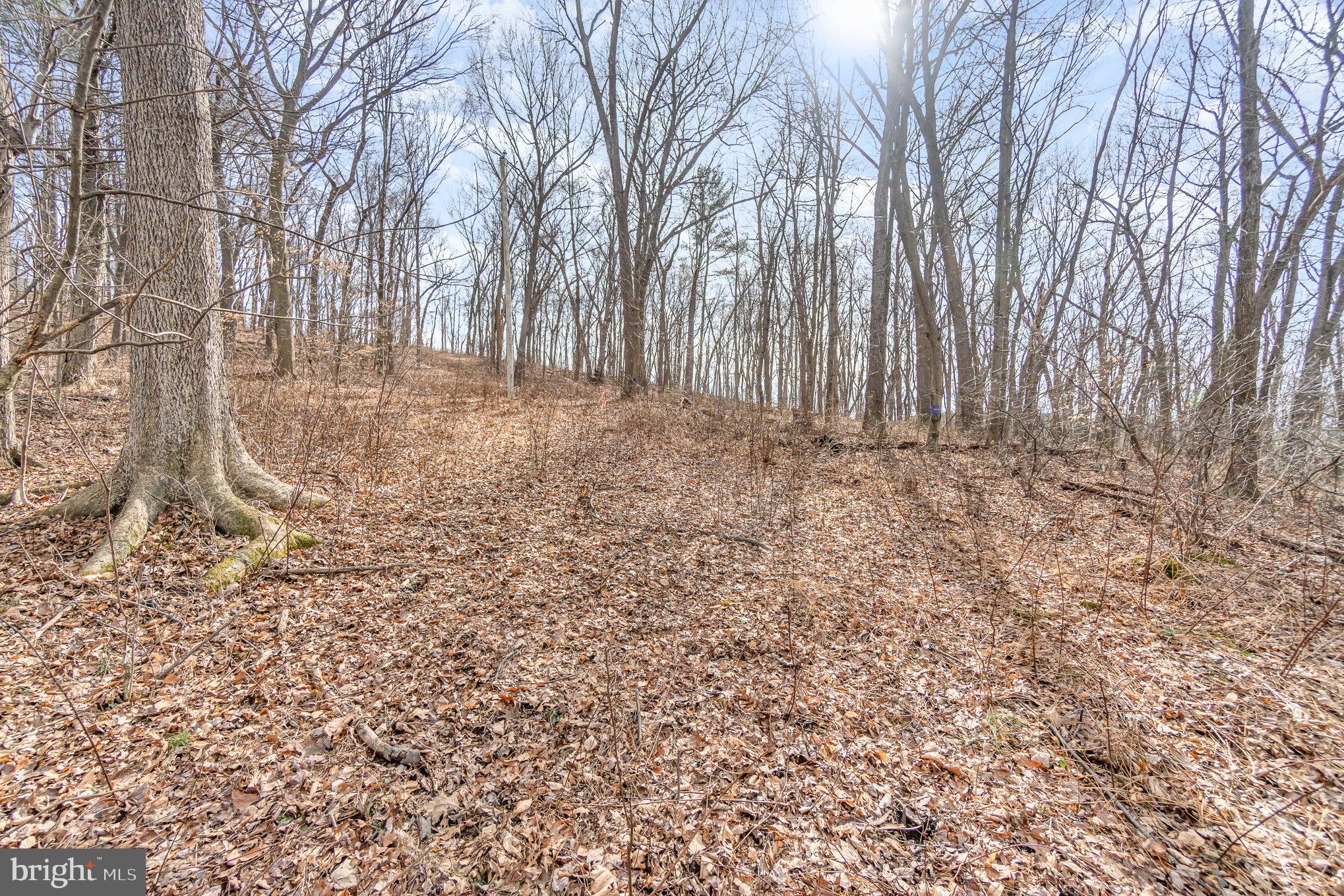 0 Back Hollow Road Blain, PA 17006 - Photo 15 of 24 Gallery Image 15