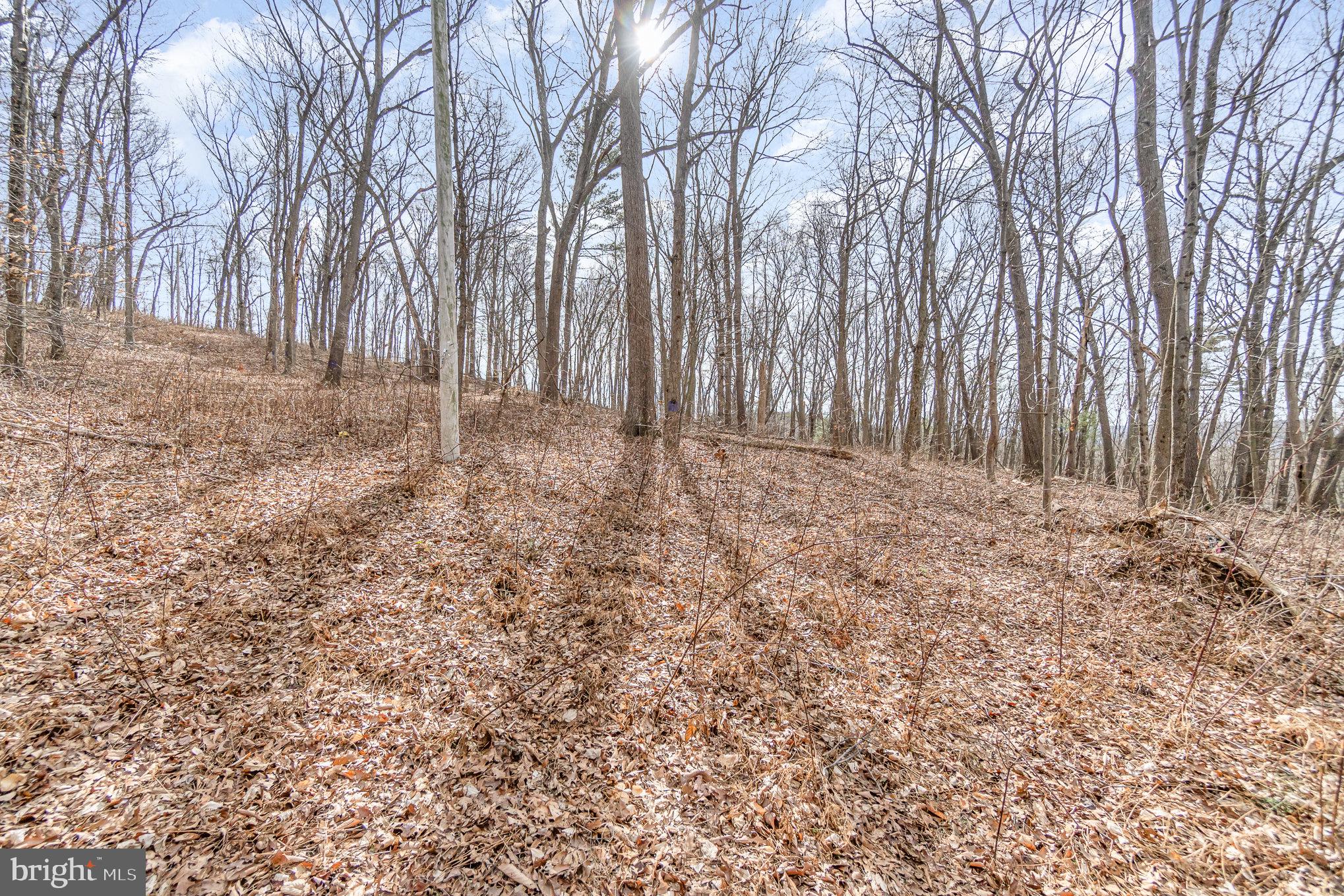0 Back Hollow Road Blain, PA 17006 - Photo 16 of 24 Gallery Image 16