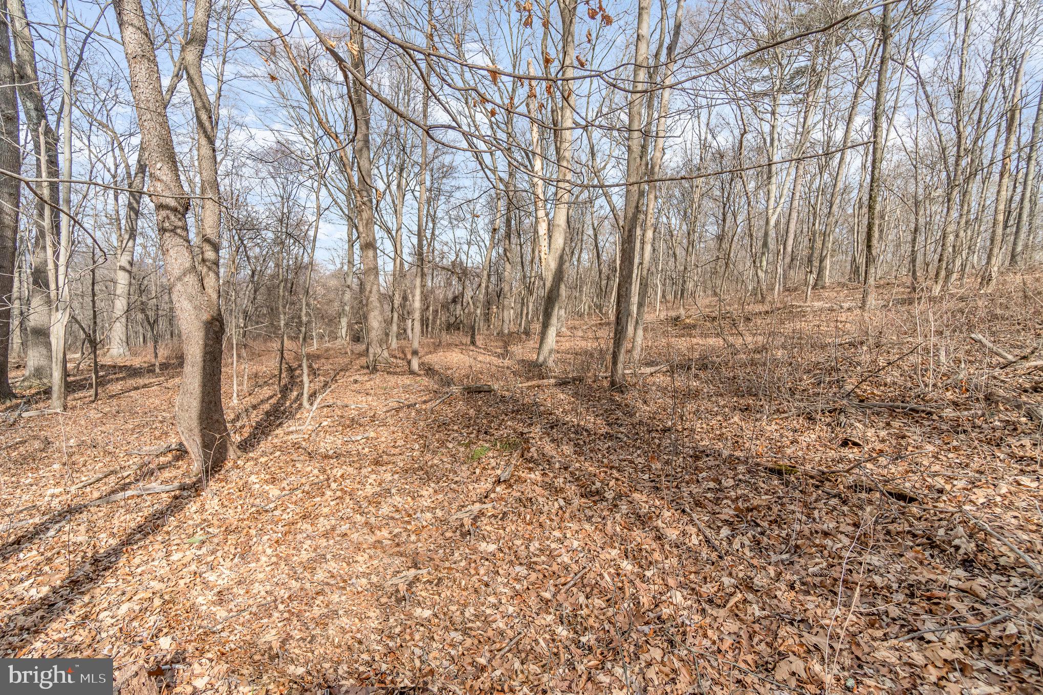0 Back Hollow Road Blain, PA 17006 - Photo 18 of 24 Gallery Image 18