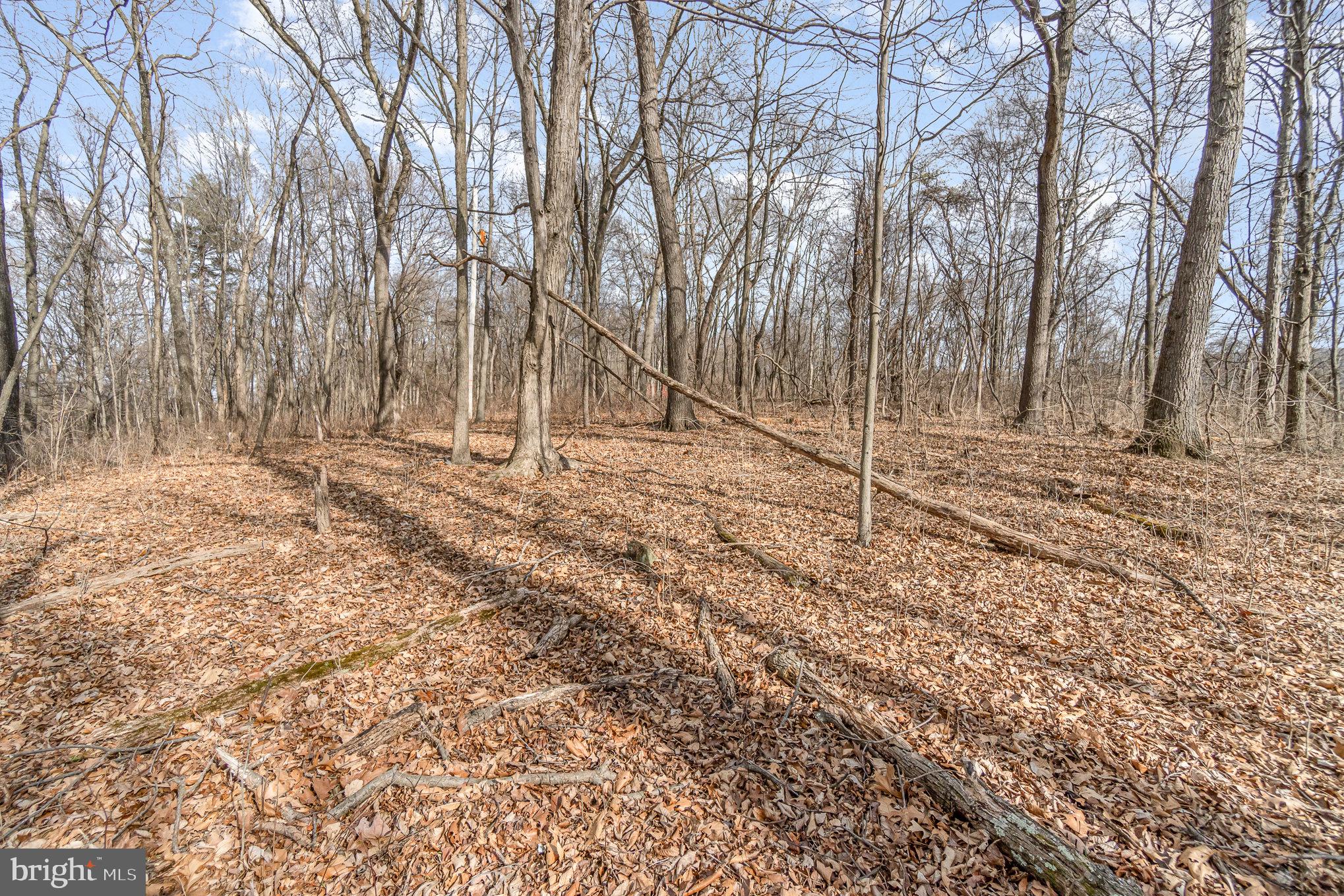 0 Back Hollow Road Blain, PA 17006 - Photo 19 of 24 Gallery Image 19