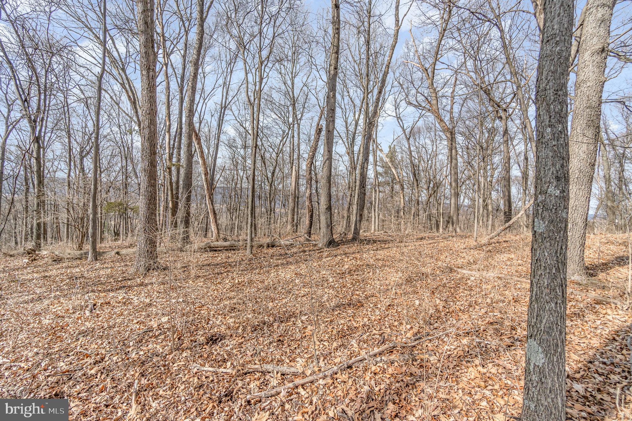 0 Back Hollow Road Blain, PA 17006 - Photo 20 of 24 Gallery Image 20