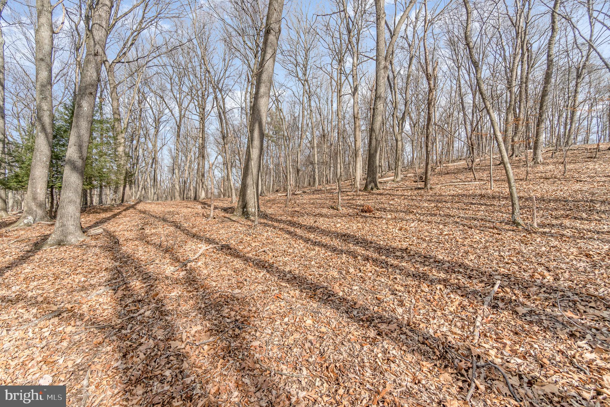 0 Back Hollow Road Blain, PA 17006 - Photo 21 of 24 Gallery Image 21