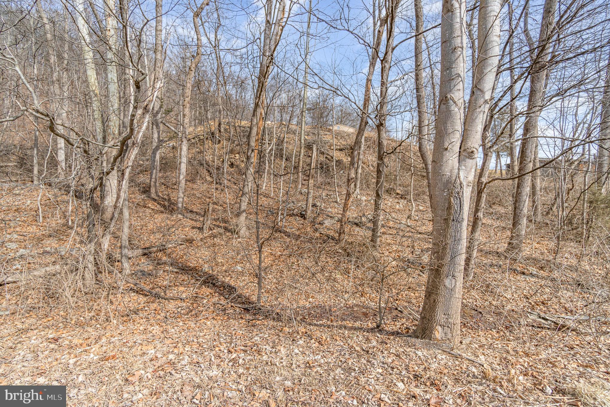 0 Back Hollow Road Blain, PA 17006 - Photo 22 of 24 Gallery Image 22