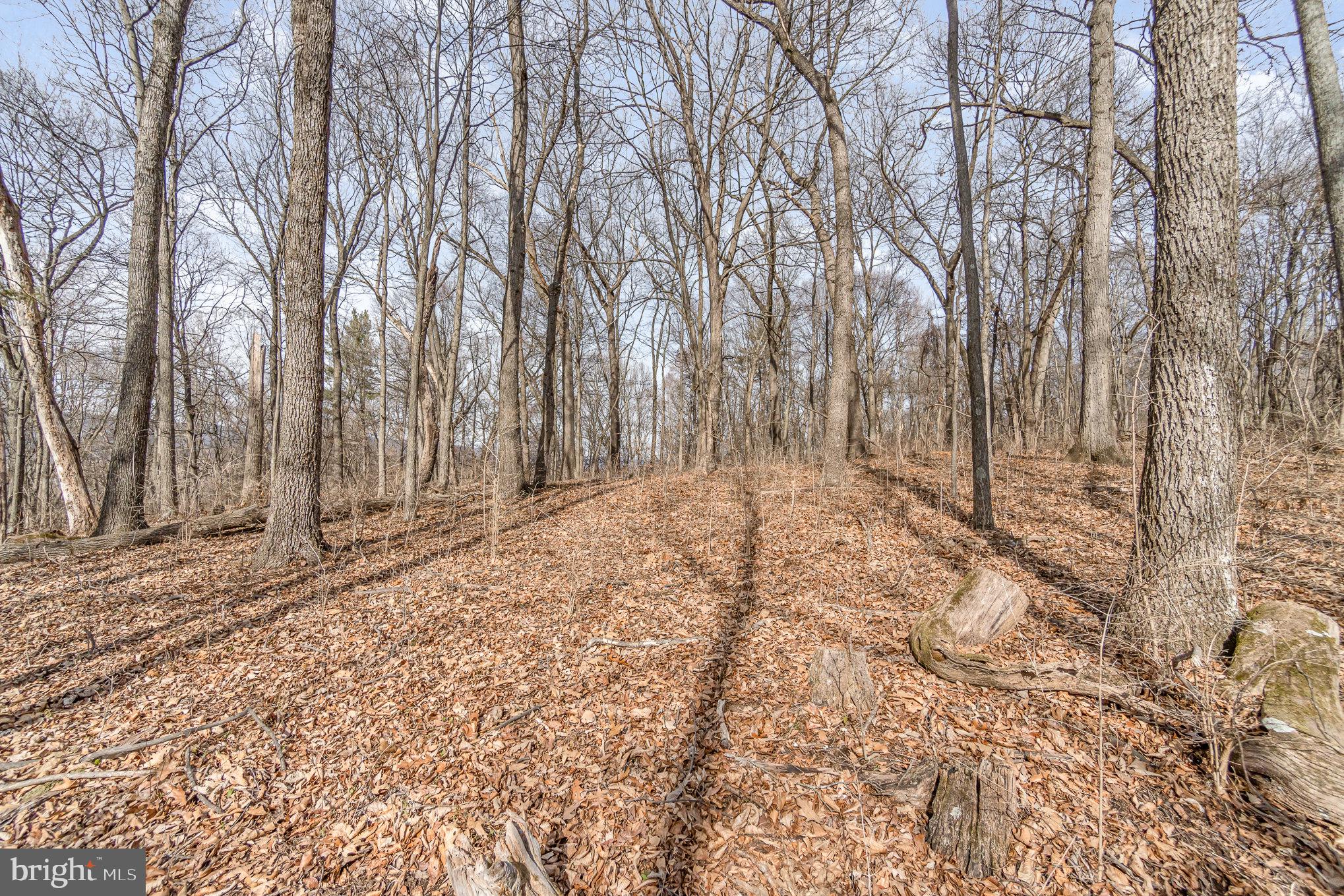 0 Back Hollow Road Blain, PA 17006 - Photo 3 of 24 Gallery Image 3