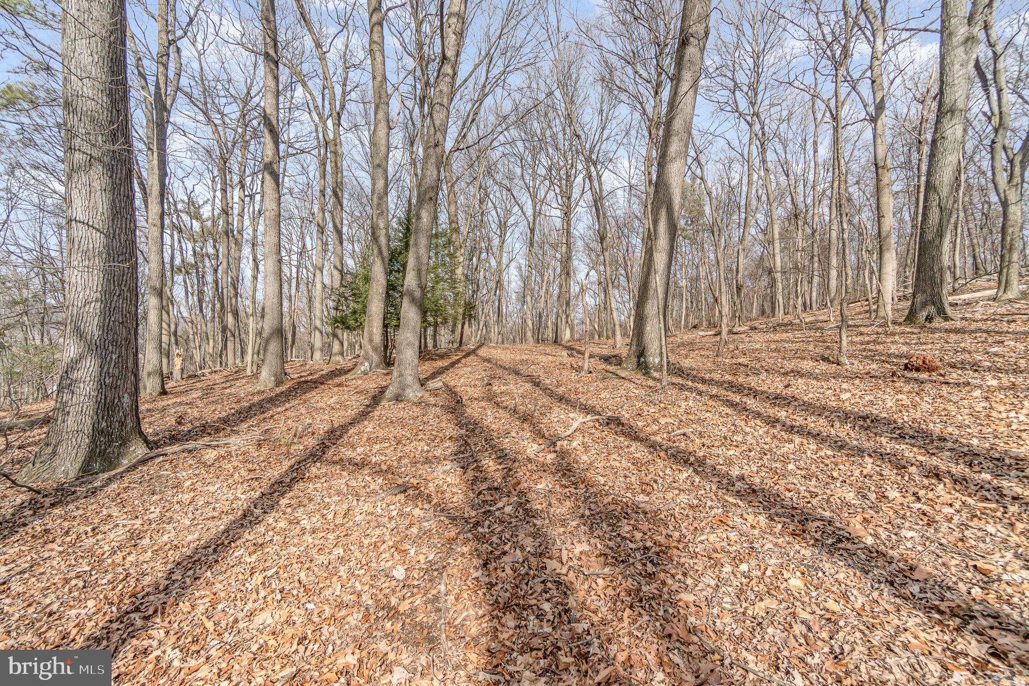 0 Back Hollow Road Blain, PA 17006 - Photo 4 of 24 Gallery Image 4