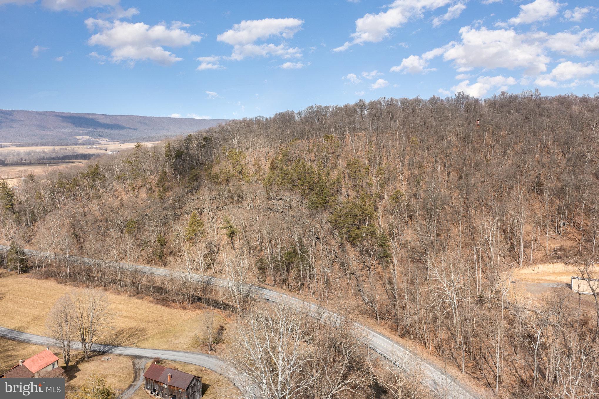 0 Back Hollow Road Blain, PA 17006 - Photo 5 of 24 Gallery Image 5